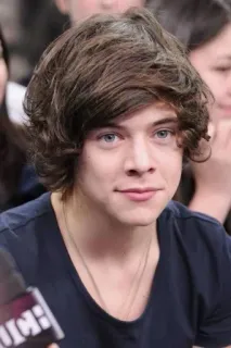 😀 Harry Styles harry styles, singer, one direction, celebrity, pop star telegram sticker