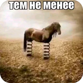🫥 ТЕМ НЕ МЕНЕЕ whatsapp sticker