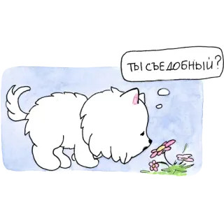 💐 Ты съедобный? Hund, Blume, Frage, süß, russisch, essbar telegram sticker