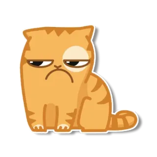 ☹️ gato, naranja, gruñón, animal, pegatina telegram sticker