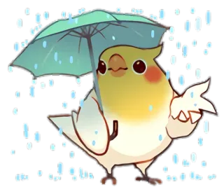 ☂️ calopsita, pássaro, guarda-chuva, chuva, fofo, animal telegram sticker