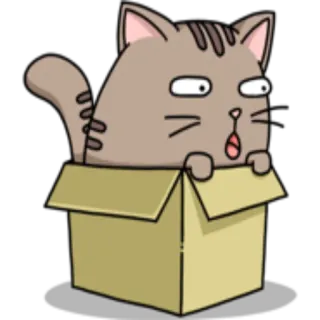 📦 gatto, scatola, animale, carino, adesivo, divertente whatsapp sticker