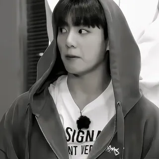 π₯ SIGN k-pop, korea, singer, man, portrait, face, hoodie telegram sticker