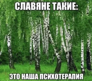 🌴 СЛАВЯНЕ ТАКИЕ:
ЭТО НАША ПСИХОТЕРАПИЯ slawisch, Birken, Psychotherapie, Natur, Wald, russisch, Meme, Kultur telegram sticker