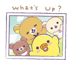 🎀 What's Up? beruang, bebek, imut, binatang, salam, kawaii telegram sticker