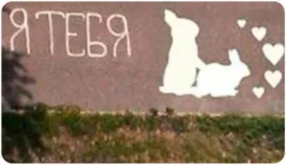 🐰 Я ТЕБЯ conejos, amor, corazones, ruso, romántico whatsapp sticker