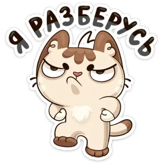 👊 Я разберусь kucing, rusia, marah, tekad telegram sticker