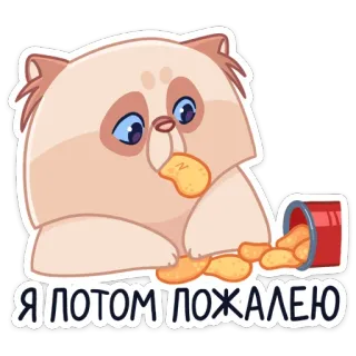 🍫 Я потом пожалею gato, desenho animado, comida, triste, lanche, batatas fritas telegram sticker