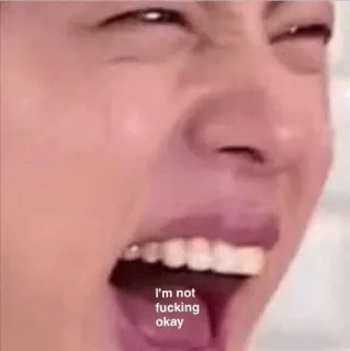 😭 I'm not fucking okay Meme, Emotioneel, Expressie, Frustratie, Woede, Sarcasme telegram sticker