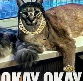 🐱 OKAY OKAY Katze, Floppa, Meme, Brille, Schmuck, OKAY telegram sticker