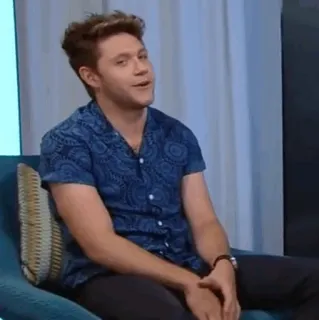 🎸 Niall Horan cantor, celebridade, homem, retrato, pessoa telegram sticker