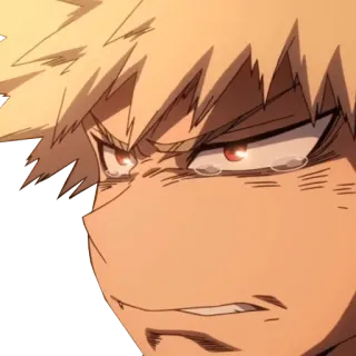 😢 Katsuki Bakugo My Hero Academia Anime, Wütend, Charakter, Manga, My Hero Academia, Bakugo telegram sticker
