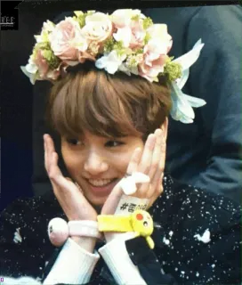 Jungkook +_+ telegram stickers