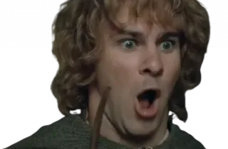 😮 Pippin Lord of the Rings Pippin, Lord of the Rings, Surprised, Reaction telegram sticker