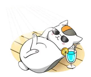 😊 Katze, Getränk, Sonnenbrille, Entspannung, Strand, Urlaub telegram sticker