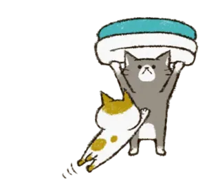 🛏 kot, zwierzęta, słodkie, kreskówka, zwierzaki telegram sticker
