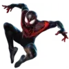 🕸