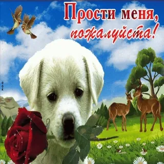 🙏 Прости меня, пожалуйста! whatsapp sticker
