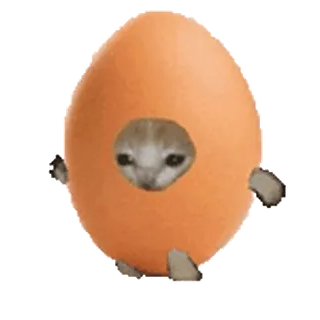 🐈 кот, яйцо, животное, смешной, мем, милый, питомец telegram sticker