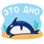 🦈 ЭТО ДНО Tubarão, Mar, Oceano, Desenho animado, Animal, Subaquático, Fofo telegram sticker