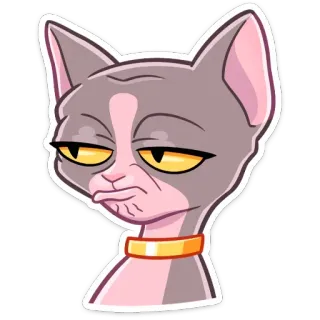 😕 cat, sphynx cat, pet, animal, sticker, expression, funny, grumpy telegram sticker