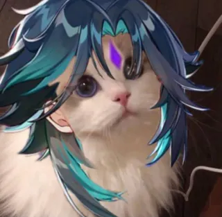 🪀 Xiao Genshin Impact Xiao, Genshin Impact, gato, meme, gracioso, personaje de videojuego, personaje de anime telegram sticker