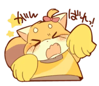 😌 kwann fighting! แมว, โกรธ, ต่อสู้, น่ารัก, ดาว telegram sticker