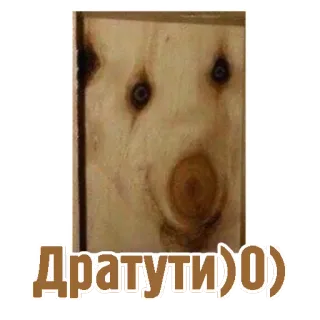 ✋ Дратути))0) cane, animale, adesivo, russo, saluto, carino telegram sticker