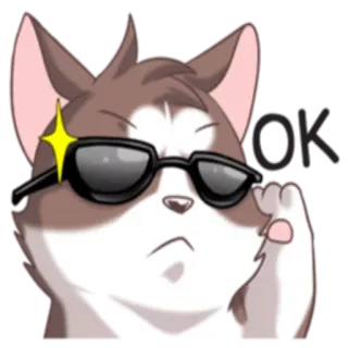😎 OK kucing, keren, kacamata, oke, persetujuan whatsapp sticker