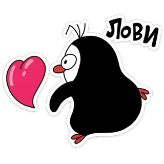 ❤ ЛОВИ pingouin, cœur, dessin animé, amour, mignon, russe telegram sticker