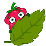 Raspberry - @TgEmojis telegram emojis 👀