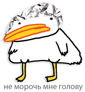 😖 не морочь мне голову bird, duck, tin foil hat, conspiracy telegram sticker