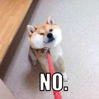 🙅‍♀️ NO. dog, shiba inu, no, meme, animal telegram sticker
