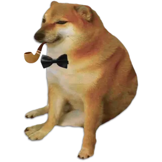 🧐 犬, ミーム, チムス, パイプ, 蝶ネクタイ telegram sticker