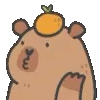🍊