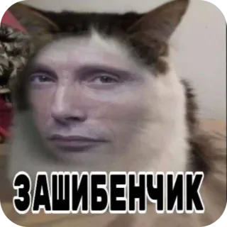 🖼 Mads Mikkelsen ЗАШИБЕНЧИК whatsapp sticker