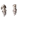 🐶