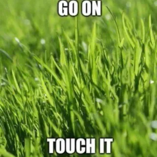 👍 GO ON TOUCH IT grass, nature, meme, internet culture, touch grass, green telegram sticker