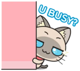 🚪 U BUSY? cat, siamese, busy, sticker, cartoon, greeting whatsapp sticker