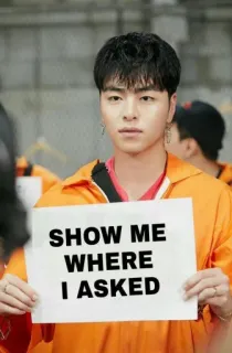 ✨ SHOW ME WHERE I ASKED Мем, Смешно, Сарказм, Шутка, Юмор telegram sticker