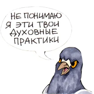 🙏 НЕ ПОНИМАЮ Я ЭТИ ТВОИ ДУХОВНЫЕ ПРАКТИКИ oiseau, pigeon, animal, en colère, mème, russe whatsapp sticker