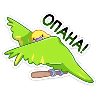 Попуги :: @stickroom telegram stickers