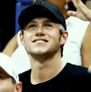 ✨ Niall Horan ไนออล ฮอแรน, นักดนตรี, คนดัง, นักร้อง, One Direction telegram sticker