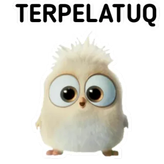 🙃 TERPELATUQ telegram sticker