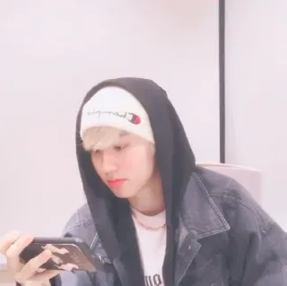 🐿 whatsapp sticker