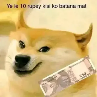 💵 Doge Ye le 10 rupey kisi ko batana mat doge, meme, money, rupees, funny, dog, bribe telegram sticker