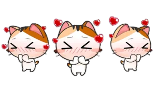 ☺️ gato, lindo, corazones, animal, kawaii telegram sticker