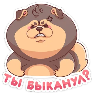 🤨 ТЫ БЫКАНУЛ? chó, tức giận, dễ thương, hoạt hình, động vật, nga telegram sticker