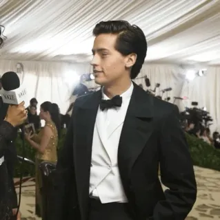❄ Cole Sprouse Cole Sprouse, celebridade, ator, smoking, roupa formal, Met Gala whatsapp sticker