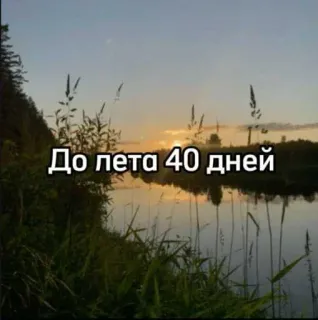 ☀️ До лета 40 дней verano, naturaleza, río, paisaje, puesta de sol, cuenta atrás telegram sticker